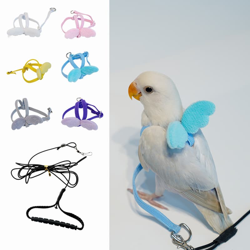 Parrot Flying Single Strap Ultra Light Flying Traction Rope Peony Xuanfeng Small Sun Bird Flying Strap Rope