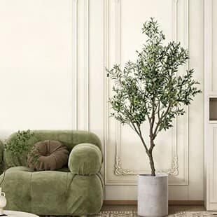 Olive Tree Potted Plant, Indoor Living Room Real Tree Large Potted Plant, Easy-Care Floor-Standing Housewarming Moving Plant
