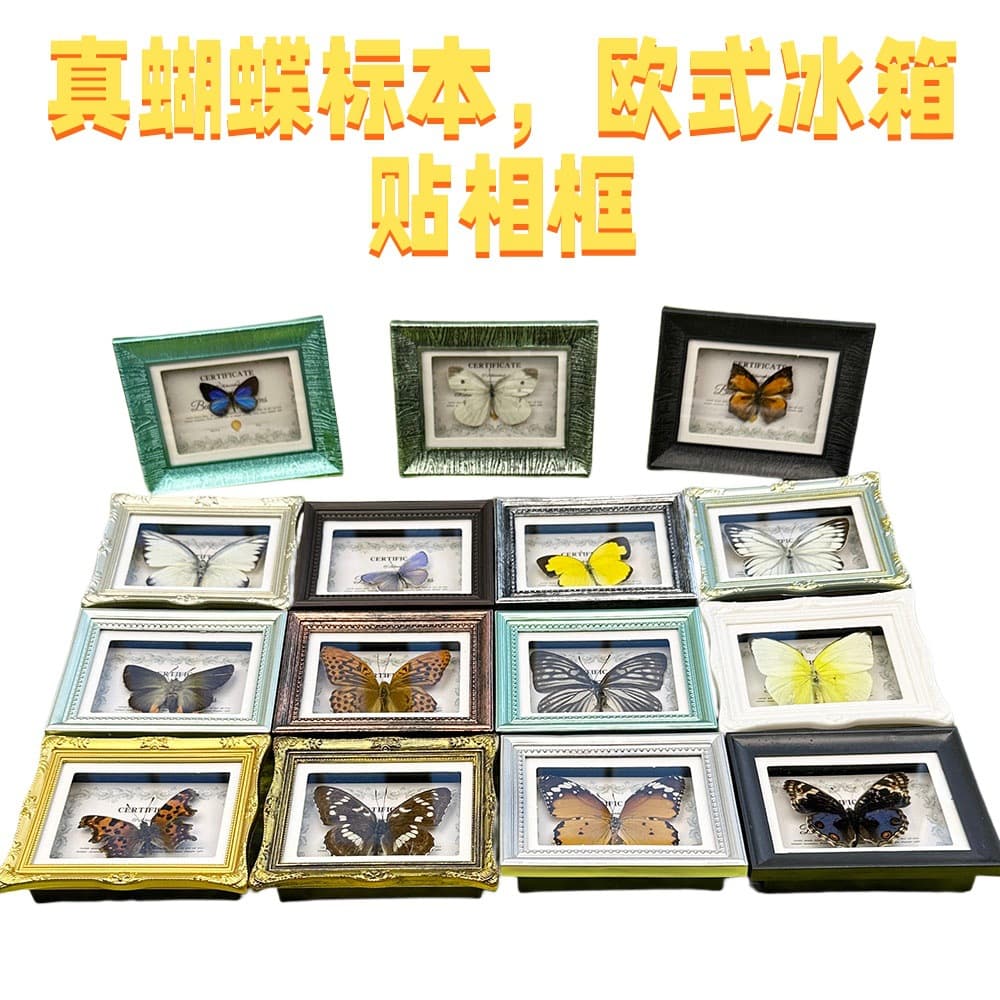 Real Butterfly Specimen European Style Frame Refrigerator Magnet Home Decor Ornament Creative Birthday Gift Science Teaching Supplies