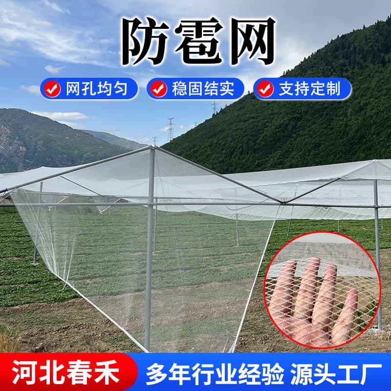 All-new white polyethylene hail net for orchards, bird protection, and agricultural use on fruit trees.