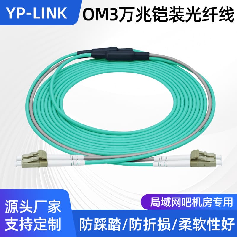 Youpuguang Internet Cafe OM3 10G Armored Multimode Duplex 4/6/8 Core Fiber Optic Patch Cord LC-LC Pigtail Fiber Optic Cable