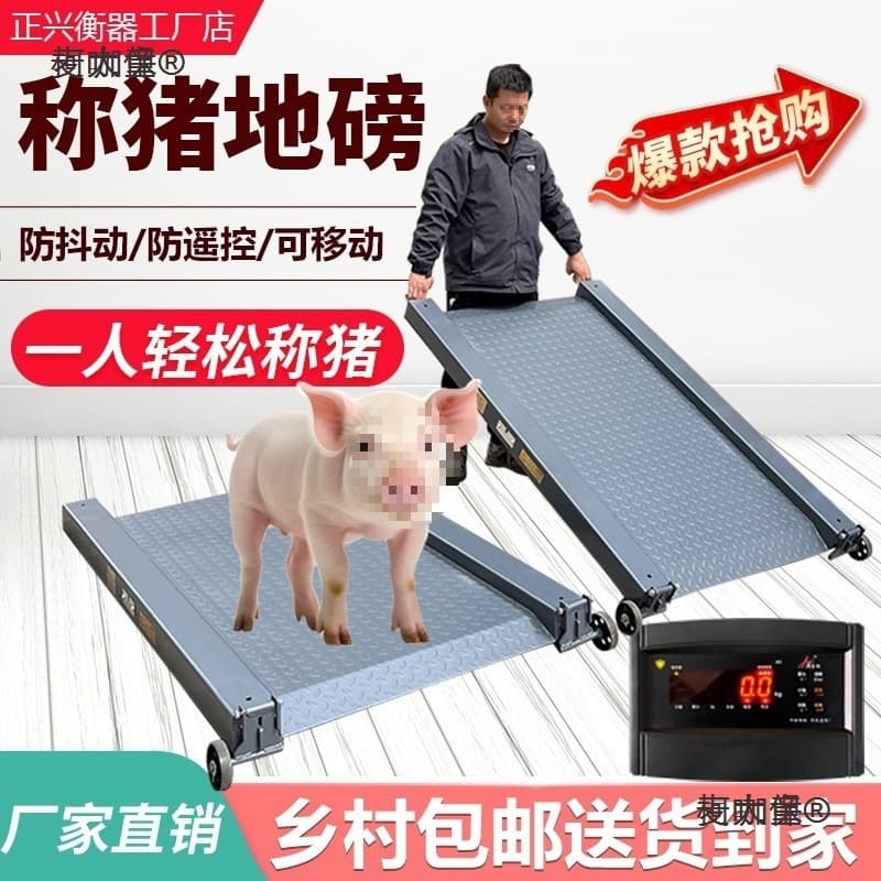 Tangheng Zhengxing Portable Livestock Scale Electronic Scale Anti-remote Control Cheating Anti-shake Small Floor Scale Double Mai Taibao