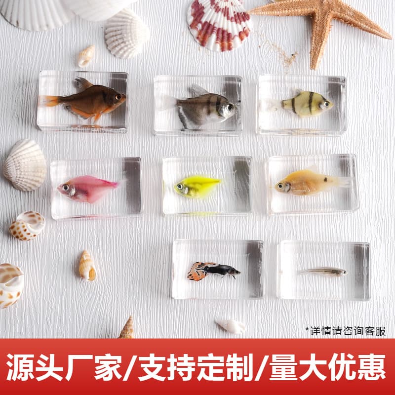 Real Marine Tropical Fish Resin Specimen Ornament Kindergarten Science Cognition Toy Scenic Spot Gift Factory Wholesale
