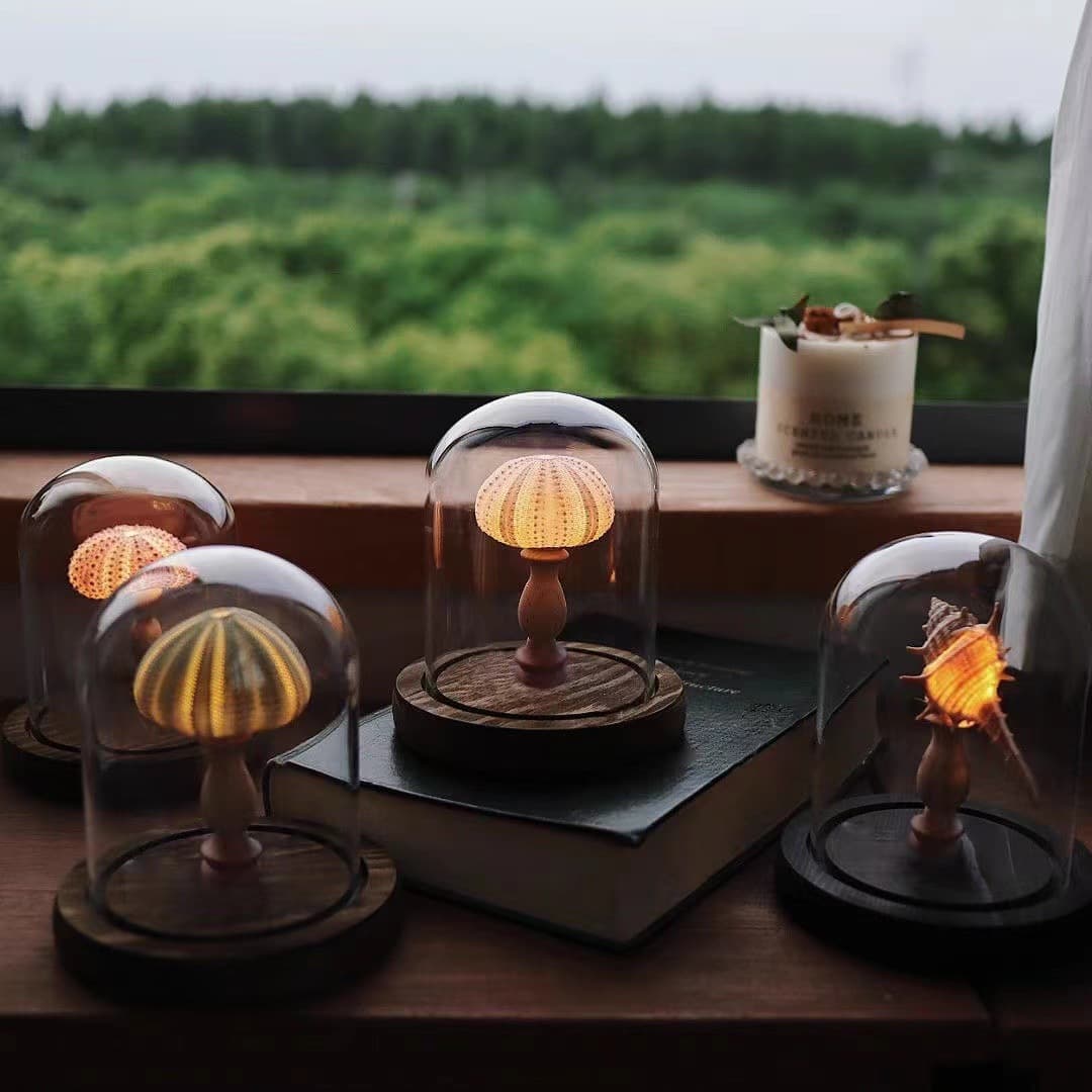 Mother's Day Drawer - Vintage Shell Sea Urchin Conch Lamp Night Light Decoration Handmade DIY Material Kit