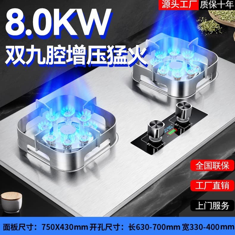 German High-Power Gas Stove for Home Use, Dual Burner, Tabletop or Built-in, Natural Gas/LPG, New Energy-Saving Model