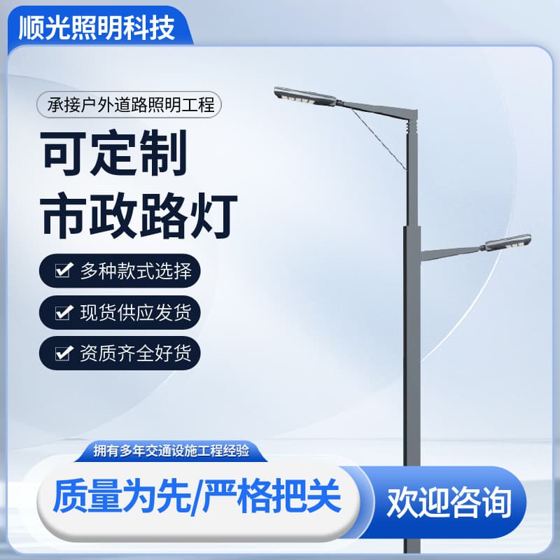 LED Mains-Powered Street Light 9m 10m 12m Lighting Engineering Single-Arm Dual-Arm High-Low Arm Hot-Dip Galvanized Light Pole