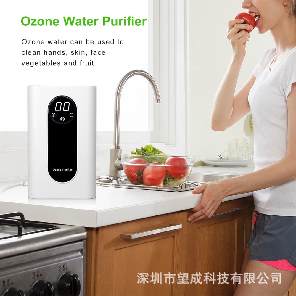 Ozone Generator with Timer, Home Food Meat Purifier, Fruit and Vegetable Sterilizer
