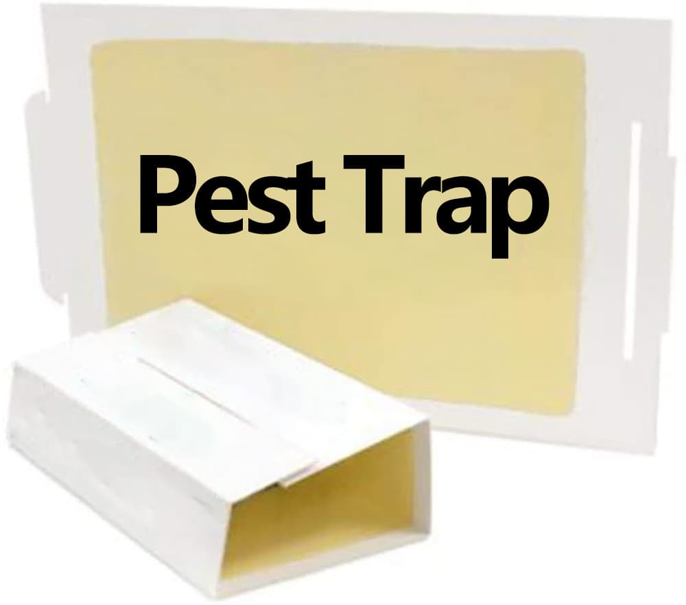 Insect Trap Cross-border Rattrap Sticky Mouse Board Rat Glue Snake Cockroach Cricket Spider Glue Board Wholesale Insecticide