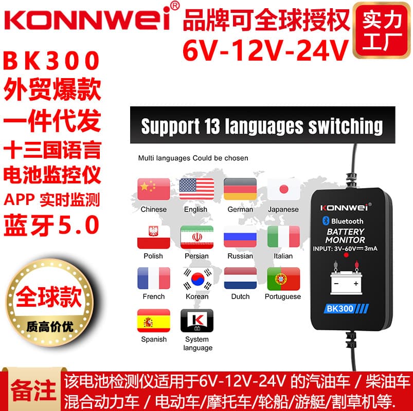 KONNWEI New BK300 Multi-function Battery Monitor for 6V/12V/24V Battery Health Monitoring