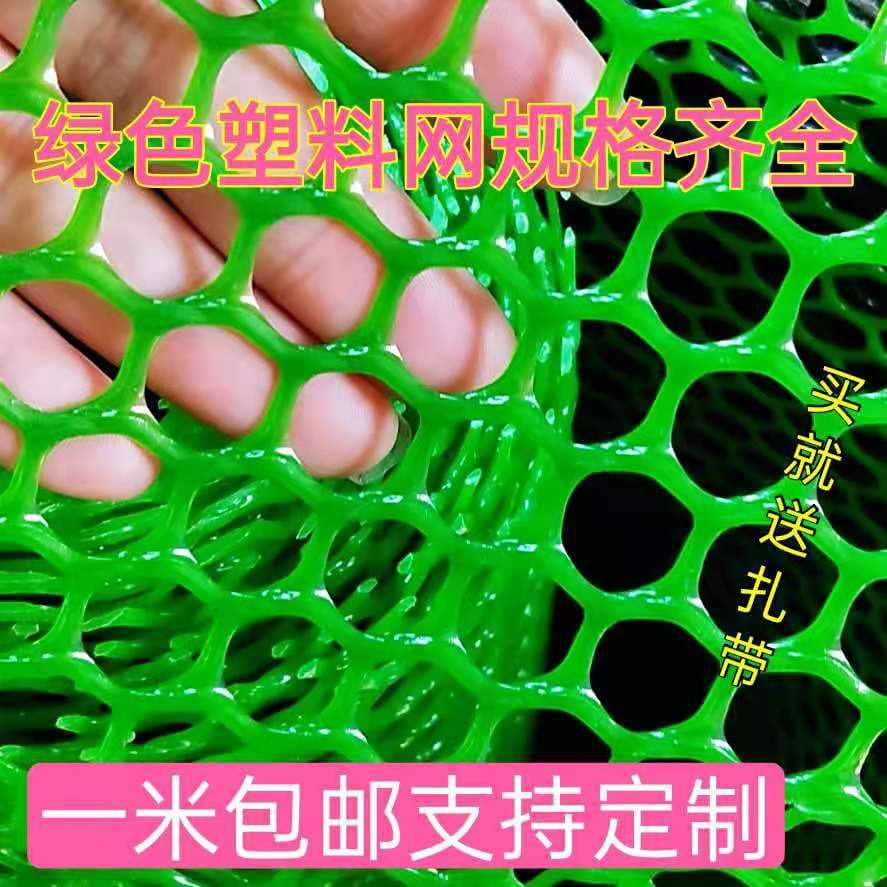 Green Plastic Flat Net Breeding Mesh for Beekeeping, Silkworm, Fish, Duck, Goose, Chicken Fencing Net Balcony Protective Net