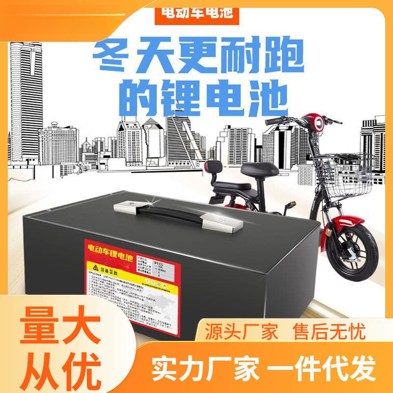 Electric Vehicle Lithium Battery 48V 20Ah 60V 72V Long Range Large Capacity Three-Wheel Wholesale Electric Bicycle Battery for Delivery