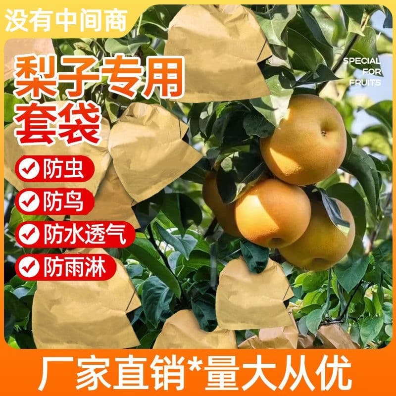Pear bagging special bag fruit bagging fruit tree insect-proof golden pear bagging late autumn pineapple bag fruit bag Qiuyue pear