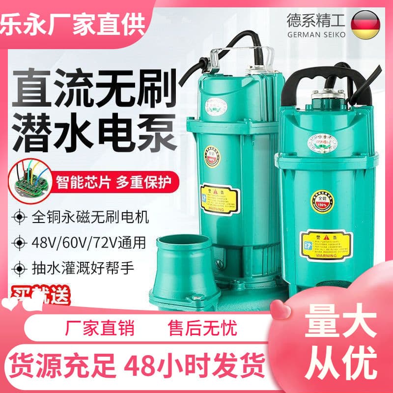 Brushless intelligent DC submersible pump 48V 60V 72V universal high-flow electric electric vehicle water pump water extractor