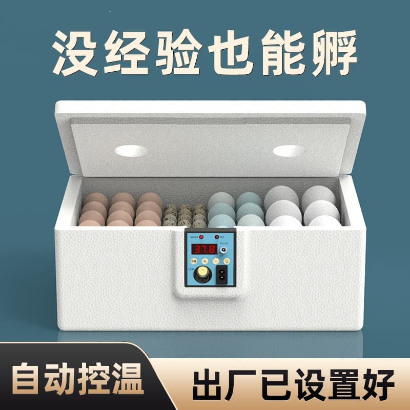 Small Household Fully Automatic Smart Water Bed Incubator Quail Egg Incubator USB Constant Temperature Cross-Border Supply