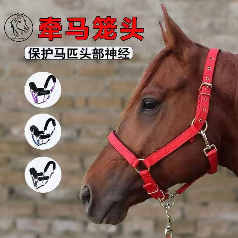 Dekine Horse Harness Rope Equestrian Supplies Full Set of Horse Headgear Small And Medium Horses Zinc Alloy Accessories Wear Resistant Model