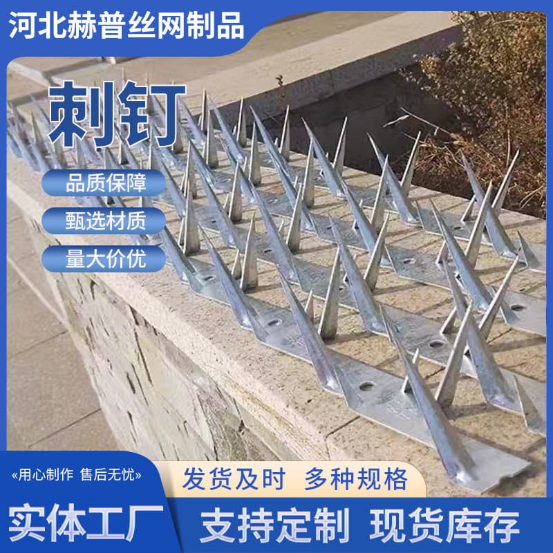 Manufacturer Sells Prison Wall Anti-Climb Spikes, Stainless Steel Hot-Dip Galvanized Anti-Climb Nails, Gas Pipe Spikes