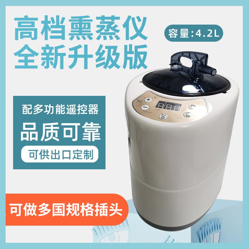 Direct Supply Large Capacity Home Steam Sauna Machine for Health, Beauty, and High-Quality Steam Therapy