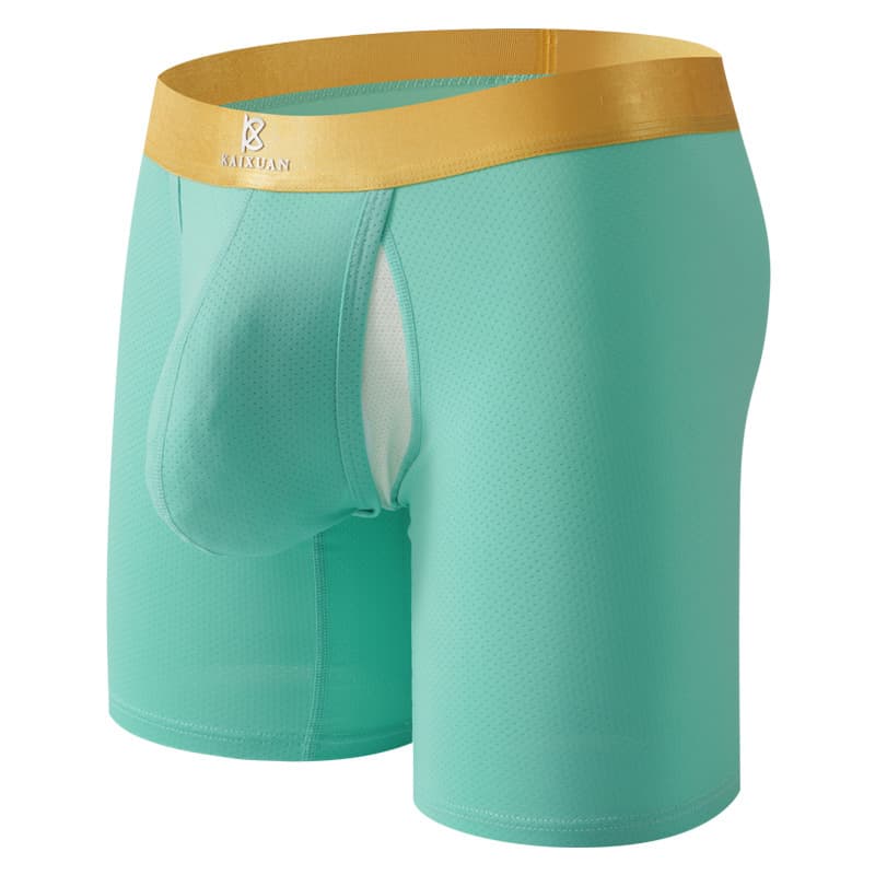 Low Waist Ice Silk Quick Dry Breathable Men's Briefs Sporty Boxer Shorts Knitted Polyester Mesh Transparent Sexy Men Underwear
