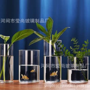 Hydroponic Plant Straight Cylinder Glass Vase Creative Borosilicate Glass Flower Pot Art Flower Vase Moss Landscape Bottle