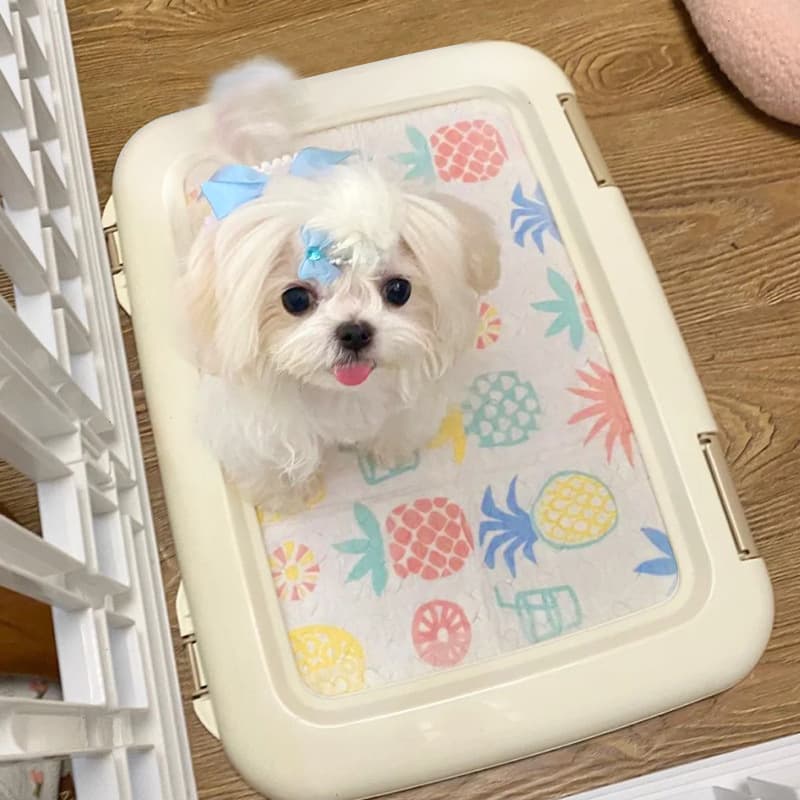 Dog Toilet Flat Tray Pet Potty Anti-Stepping Poop Tray for Bichon Alice Small and Medium-Sized Dogs