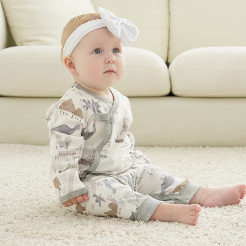 Newborn Baby Clothes Spring Autumn Infant Pure Cotton Bodysuit Newborn Full Moon Baby Romper Unisex Monk Style