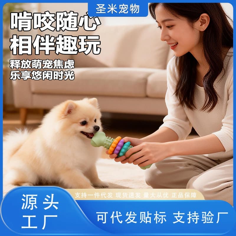 New Pet Toy Dog Toy TPR Bone Shape Succulent Chew Toy Durable Teeth Cleaning Toy Self-Entertainment Toy