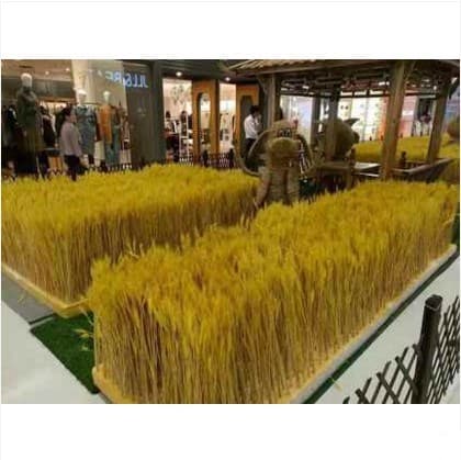 Real wheat ears, natural wheat pastoral plant art, dried flowers, wheat rice ears, barley shooting props, immortal flowers, fake flowers