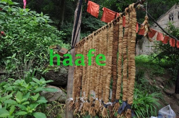 ✅ Wholesale 5 pieces: Chestnut Flower Rope, mosquito repellent rope, fly and mosquito fumigation rope, fire rope, herbal mosquito coil rope.